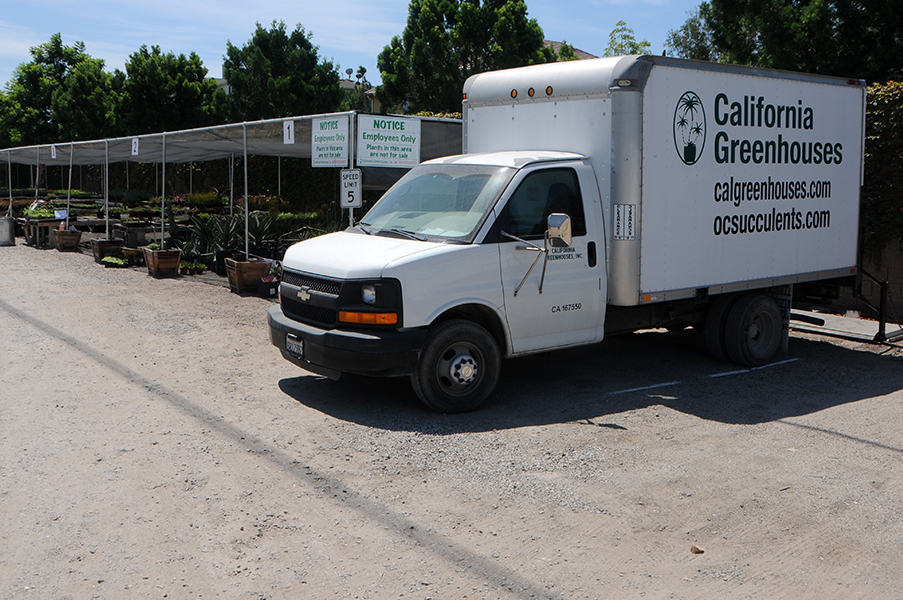 southern california succulant nursery 